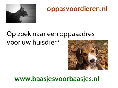 Oppas voor dieren